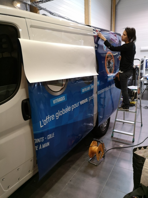 Newsletter Septembre 2018 - VSF, Vitro Service France