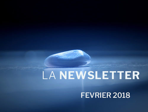 Newsletter Février 2018