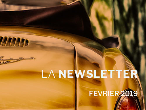 Newsletter Février 2019 - VSF