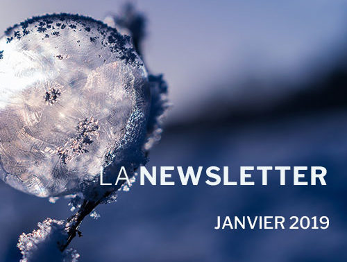 newsletter-janvier-2019