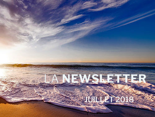 Newsletter Juillet 2018 - VSF, Vitro Service France