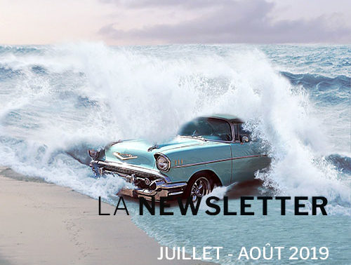 Visuel de la Newsletter Juillet & Août 2019 - VSF