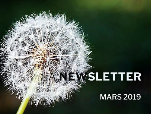 Newsletter Mars 2019 - VSF