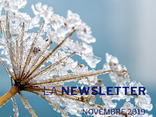 Visuel novembre 2019
