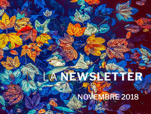 Newsletter Novembre 2018 - VSF Vitro Service France