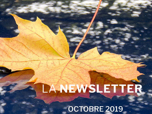 VSF Newsletter Octobre 2019