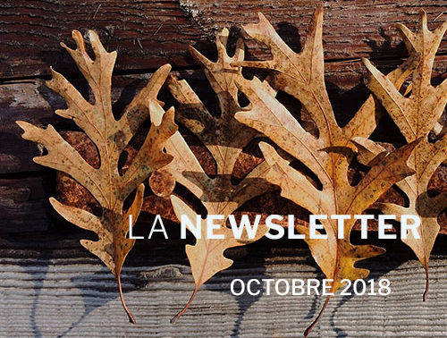Newsletter Octobre 2018 - VSF Vitro Service France
